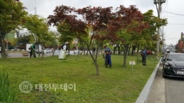 보령시, 쾌적한 도심 공원 녹지관리로 명품 녹색 도시거리 조성