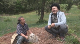 나는 자연인이다 진실한 사랑을 기다리는 작은 거인, 김형국 자연인