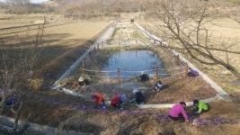 신창면 가내 3리, 마을가꾸기 사업에 구슬땀