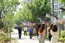 대덕구, 법동 마을마당 새단장
