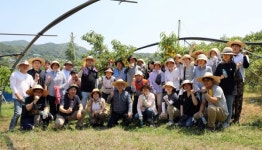 세종시의회, 농번기 일손부족 농가 힘 보태