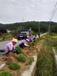 선장면 죽산1리, 꽃 동산·꽃 밭 조성