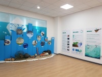 충남도 유류피해극복기념관, 해양 쓰레기 심각성 알려