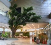 천안시청 최대 규모 녹색 실내공원 조성