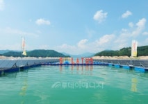 [신년기획] 수상태양광, 신재생산업 미래시장 장악한다