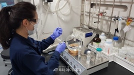 디엔에프, 무기고분자 소재 BIPV 컬러글라스 개발