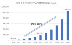 2030년 전세계 수소·전기차 100만대 돌파 전망
