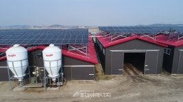 [강소기업] 엔지케이쏠라