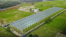 바스프·제이에스파워, 영농형 태양광 프로젝트 추진