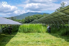 태양광발전소, 철저한 관리가 발전량 좌우