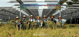 나주시 영농형 태양광 첫 결실 