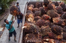 GS칼텍스, 온실가스 감축·SAF용 바이오원료 확보