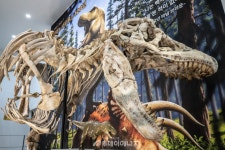 지질자원연구원 지질박물관, 티라노사우루스 120년 특별기획전 개최