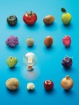 호프집의 호프 뜻은? 타파스 스타일? -  레스토랑에 관한 모든 궁금증