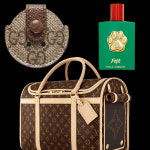 반려동물을 위한 럭셔리 아이템 3