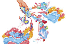 뷰티 쇼핑할 때 ‘라이브 커머스’를 절대 간과할 수 없는 이유