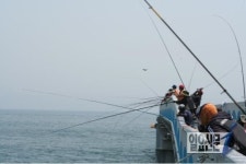 울진시범바다목장 해상낚시공원 ‘성황’