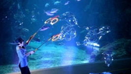 아쿠아플라넷 여수, 개관 2주년 기념 ‘아쿠아쇼’ 개최