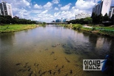성남시-용인시, 탄천 정화 위해 힘 모아