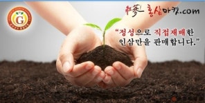 참옻나라산마을건강식품 | 국내산 홍삼만을 고집하는 ‘홍삼마켓’에서 가족 건강 챙기자
