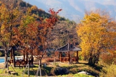 포항시, 산림문화·휴양서비스 시설 조성에 박차