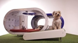 삼성전자, 수천만원대 개집 선보여...전세난에 개팔자 부럽다