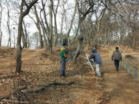 김포시, 허산 산책로 산불위험요인 정비