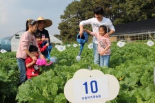 서울시, 실버?다둥이?다문화 가족텃밭 1,288구획 가을개장