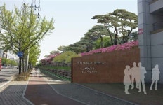 대구시, “내년 봄에는 산격동 대학로 돌담길을 걸으세요!”