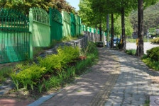 천안시, 2016년부터 본격 명품가로숲길(띠녹지) 조성