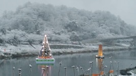 남원 요천에 송구영신 대형 트리 점등