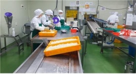 식약처, 계란 및 떡볶이 떡 가공업체 542개소 점검 56개소 적발