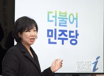 이름짓는 여자 손혜원