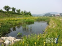 용인시, 생태하천복원 등 362억 들여 하천 정비 나서