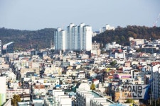 대구 수성구갑 김부겸 김문수 후보 부활절 유세 총력