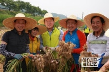 경남농협, 도 단위 농업관계기관과 함께 농촌일손 돕기
