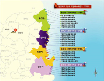 경북도, 해수욕장 개장대비 '안전대책 회의' 가져