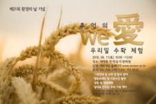 성남시, 우리 밀 수확체험 행사 탄천태평습지생태원서 11일 개최
