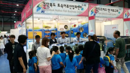 경북도,  2016 한국관상어산업박람회 토속어류 7종 전국최초 출품