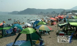 일광?임랑해수욕장 7월부터 개장