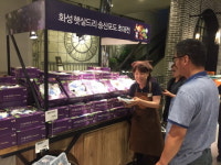 화성시 코리요송산포도협동조합, 애경백화점 첫 출하