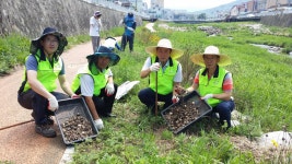 전북농협, 고창서 나눔축산 1사 1하천 사랑운동 펼쳐