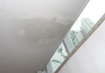 LH 신축, 하남 미사강변초 곳곳서 누수 발생