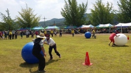 충남 부여군 충화면, 화합 한마당 체육대회 개최