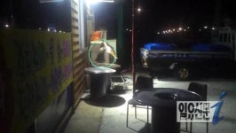 거제시 ‘수달 횟집수족관 습격 사건’의 내막은?