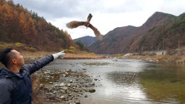 경북 야생동물 구조관리센터, 동물 구조 급증…개원 이후 최다 구조