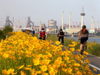 포스코 포항제철소, 가을철 굿 드라이버 캠페인 전개