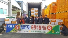 창원동읍농협, 동읍단감 홍콩 첫 수출