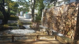 서울시 수돗물에서 1급수 어종 산천어가…아리수의 깨끗함 확인