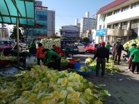 세종 금남면 남녀새마을지도회, 김장 담그기 행사 실시
